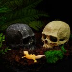 Reptile Supplies Manufacturer - Customizable Fish tank Scorpion Guard Palace Spider Lizard Snake Python Skull Aquarium Accessories