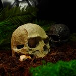 Reptile Supplies Manufacturer - Customizable Fish tank Scorpion Guard Palace Spider Lizard Snake Python Skull Aquarium Accessories