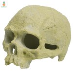 Reptile Supplies Manufacturer - Customizable Fish tank Scorpion Guard Palace Spider Lizard Snake Python Skull Aquarium Accessories