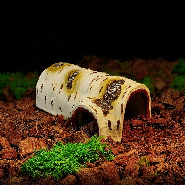 Breeding Box Manufacturer - Direct Sale From Manufacturer Birch Wood for Reptiles & Amphibians Lizard Landscaping Shelter Hole