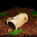 Breeding Box Manufacturer - Direct Sale From Manufacturer Birch Wood for Reptiles & Amphibians Lizard Landscaping Shelter Hole