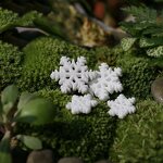Resin Crafts Manufacturer - Customizable Moss Micro Landscape Decoration Christmas Snowflake DIY Cartoon Ornaments