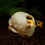 Reptile Supplies Manufacturer - Customizable Fish tank Scorpion Guard Palace Spider Lizard Snake Python Skull Aquarium Accessories