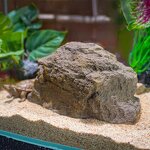 Resin Basking Platform Manufacturer - Customizable Fish Aquarium Rock Light Gray Eco-Friendly Living Room Decoration