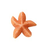 Resin Crafts Manufacturer - Mediterranean Style Five-pointed Starfish Micro Landscape Mini Ornaments Creative for Fish Tank