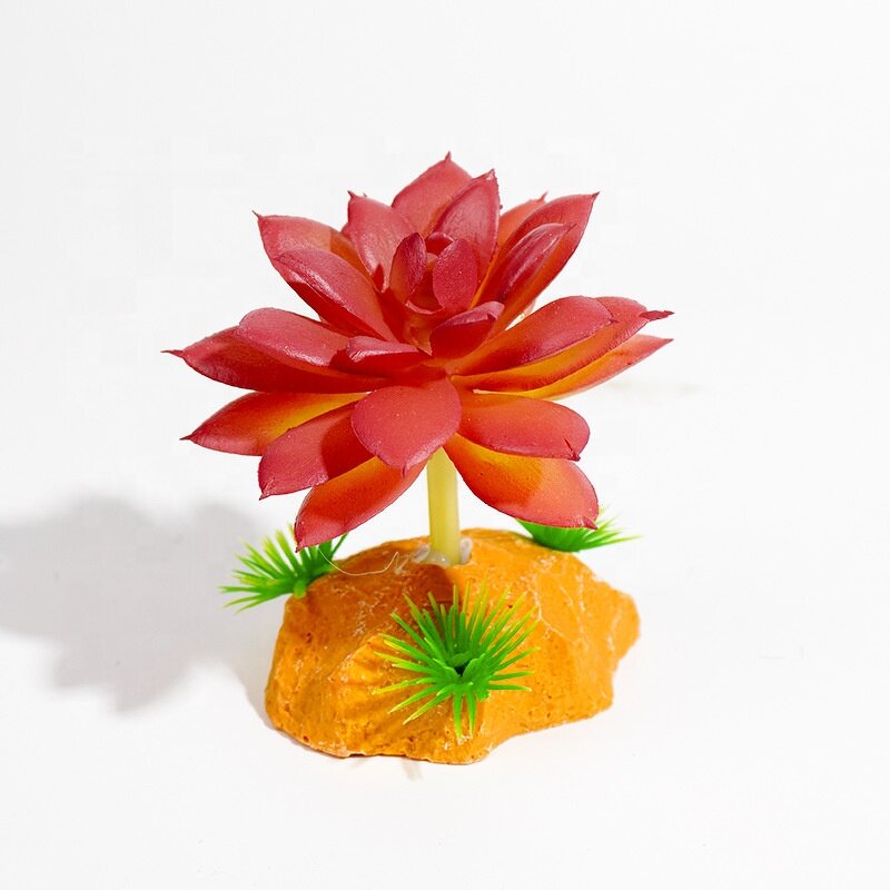 Artificial Plastic Plant Manufacturer - Green for Hermit Crab Landscaping Decorative Artificial Succulent Reptile Amphibian Supplies