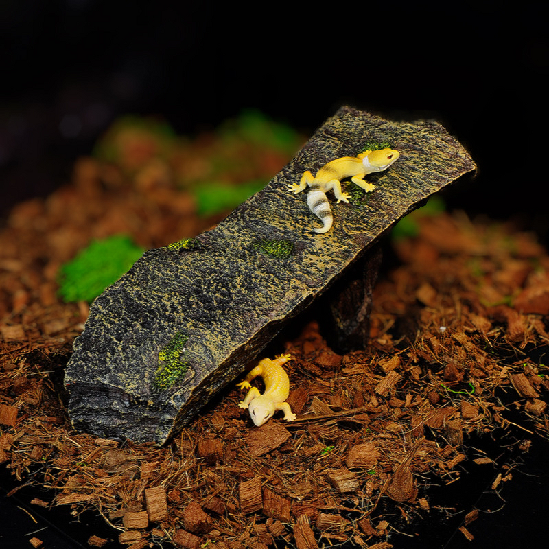 Reptile Basking Platform Manufacturer - Turtle & Climbing Spider Hamster Lizard Gecko Snake Hideout Resin Decoration for Aquariums