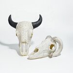 Exotic Pet Breeding Box Manufacturer - Acrylic for Reptiles Amphibians Skulls Rhino Sheep Spider Scorpion Lizard Gecko Display