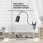 Brazilian Turtles Aquarium Manufacturer - New Model Small Medium Home Fish Tank with Ecological Landscaping for Living Room or Balcony