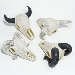 Exotic Pet Breeding Box Manufacturer - Acrylic for Reptiles Amphibians Skulls Rhino Sheep Spider Scorpion Lizard Gecko Display