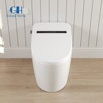 Smart Elongated Bidet Toilet Manufacturer - Modern with Auto/Blackout Flush Heated Seat and Warm Wash Dryer Blackout Finish