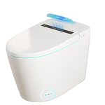 Smart Elongated Bidet Toilet Manufacturer - Modern with Auto/Blackout Flush Heated Seat and Warm Wash Dryer Blackout Finish