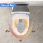 Smart Bidet Toilet Manufacturer - Seat With AUTO Tankless With Remote Control Lady Care Wash Nozzle Water Closet
