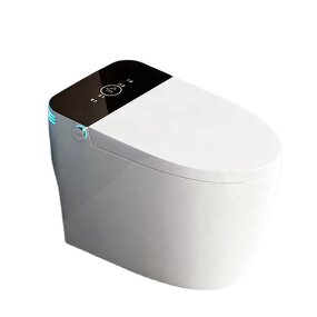 Smart Toilet Manufacturer - Hot Selling Luxury Intelligent Commode Electronic Floor Mounted Bathroom With Water Tank