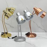 Food Warm Lamp Manufacturer - Stainless Steel Electric Food Warming Dual-Head Desk for Buffet Gold/Black/Silver