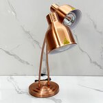 Food Warm Lamp Manufacturer - Stainless Steel Electric Food Warming Dual-Head Desk for Buffet Gold/Black/Silver