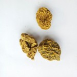 青牛胆根源头工厂-天然箭形青牛胆根茎