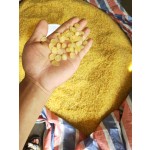 Gleditsia Seeds Factory - New Dried Bulk Supply Gleditsia Sinensis Without Shells