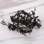 马尾藻生产商-纯干制可食用褐藻大叶