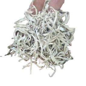 Snow Tea Factory - Yunnan Terricolous Wild Thamnolia Vermicularis Tea