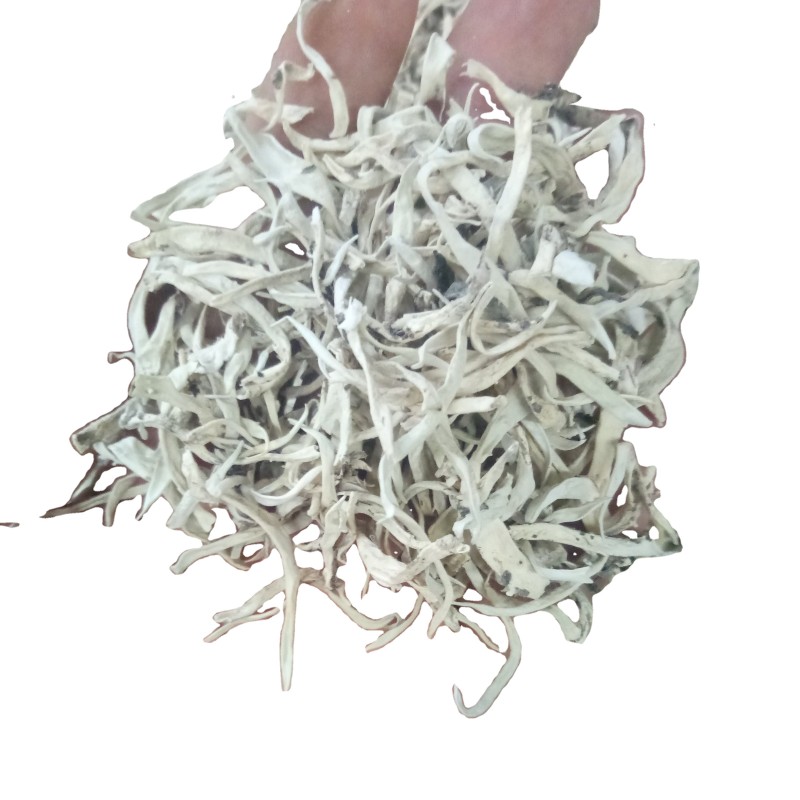 Snow Tea Factory - Yunnan Terricolous Wild Thamnolia Vermicularis Tea