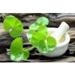 天胡荽草本源头工厂-保健茶原料干天胡荽