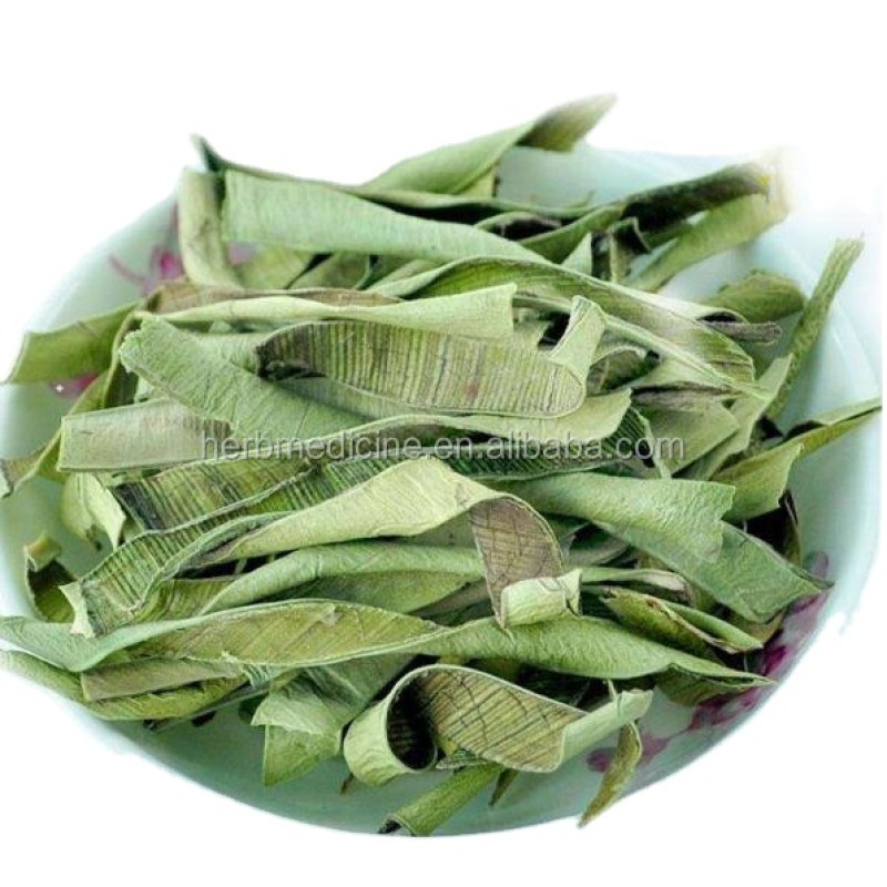 Aloe Vera Leaves Tea Factory - Raw Loose Green Dried Aloe Vera Leaves Tea
