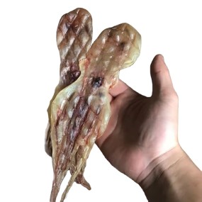 Dried Octopus Factory - 1kg Wholesale Price Common Octopus Vulgaris Food Grade