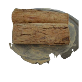 Thanakha Wood Stems Factory - New Whole Segments Raw Dried Thanakha Wood Cuts