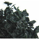 裙带菜生产商-新产裙带菜生货批发