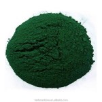 Spirulina Powder Manufacturer - Food Grade Organic Spirulina Platensis Fine Powder