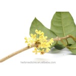 Osmanthus Tea Manufacturer - Dried Pure Yellow Sweet-scented Blossoms Flower Tea