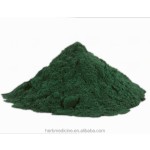 Spirulina Powder Manufacturer - Food Grade Organic Spirulina Platensis Fine Powder
