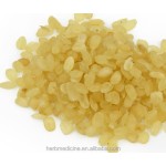 Gleditsia Seeds Factory - New Dried Bulk Supply Gleditsia Sinensis Without Shells