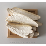 Medicinal Mushroom Factory - High Quality Dried Wild Piptoporus Betulinus