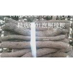泡桐根生产商-厂家供应幼苗长穗泡桐段