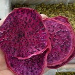 火龙果茶源头工厂-中国脱水火龙果干红片茶