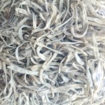 雪茶源头工厂-云南地生野生雪茶地衣茶