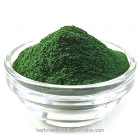Spirulina Powder Manufacturer - Food Grade Organic Spirulina Platensis Fine Powder