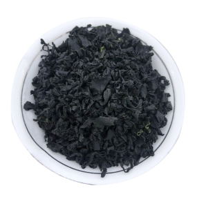 Wakame Seaweed Manufacturer - Wholesale New Produced Undaria Pinnatifida Raw