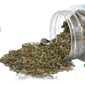 Catnip Herb Manufacturer - 100% Natural Fresh Dried Green Cat Mint Shredded