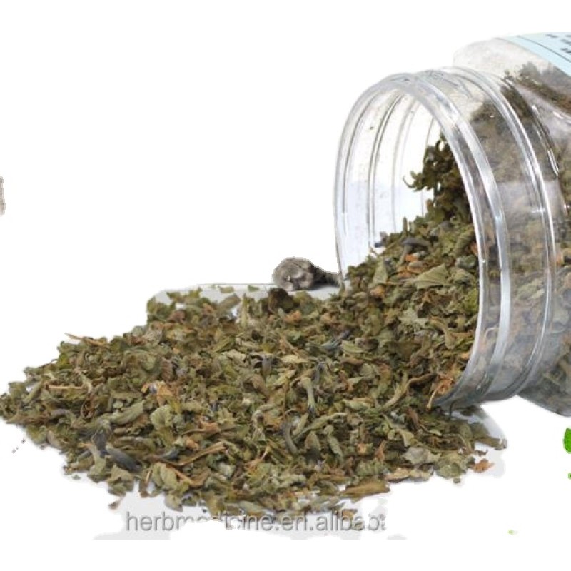 Catnip Herb Manufacturer - 100% Natural Fresh Dried Green Cat Mint Shredded