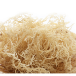 Irish Sea Moss Factory - All Natural Ocean Raw Gold Organic Vegan