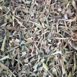 芦荟叶茶源头工厂-生散装绿色干芦荟叶茶