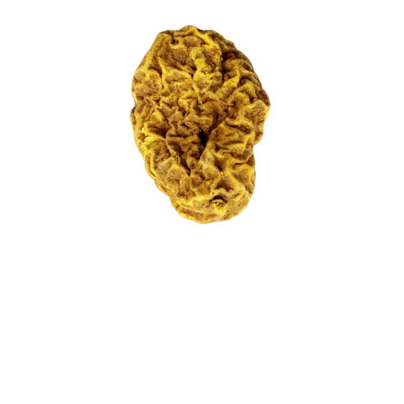 Tinospora Root Factory - Natural Arrowshaped Tinospora Sagittata Rhizome