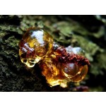 桃胶生产商-高品质批量供应天然桃胶块