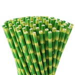 Paper Straw Manufacturer - Promotion Disposable Bamboo for Drinking