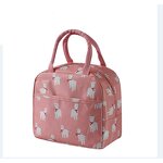 Lunch Picnic Bag Manufacturer - Hot Selling Oxford Aluminum Foil Fashion Portable