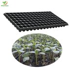 Seedling Trays Manufacturer - 72 98 105 128 200 288 Cells Plastic Nursery for Planting Tomato Broccoli Chilli Marigold