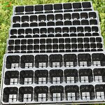 Seedling Trays Manufacturer - 32 50 72 98 105 128 162 200 288 Polystyrene for Sale